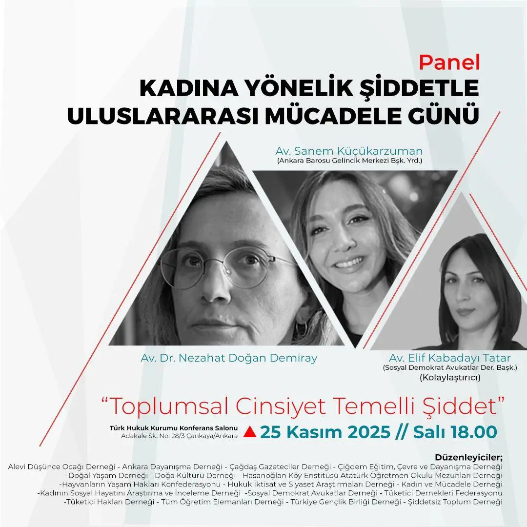 Kadına Yönelik Şiddetle Mücadele Toplumsal Cinsiyet Temelli Şiddet (2)