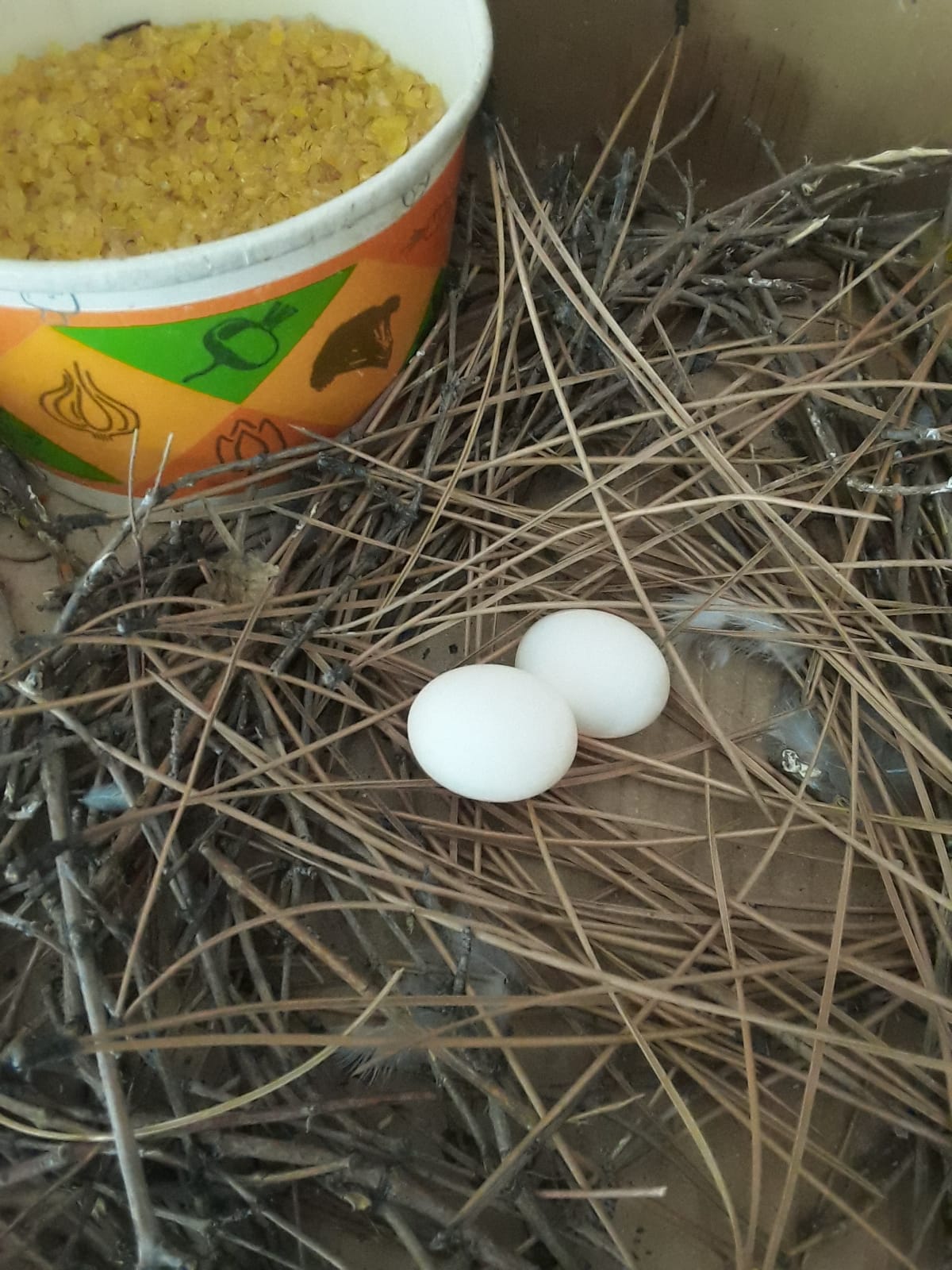 Whatsapp Görsel 2025 11 11 Saat 11.13.16 03B22136