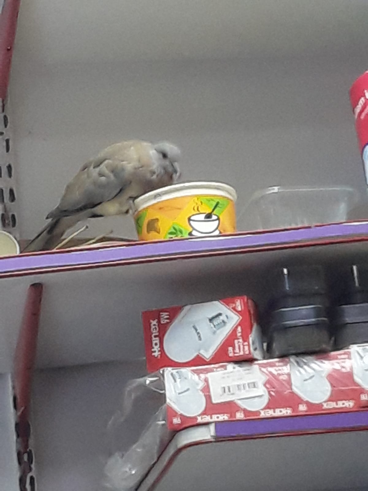 Whatsapp Görsel 2025 11 11 Saat 11.13.16 Cc82347D