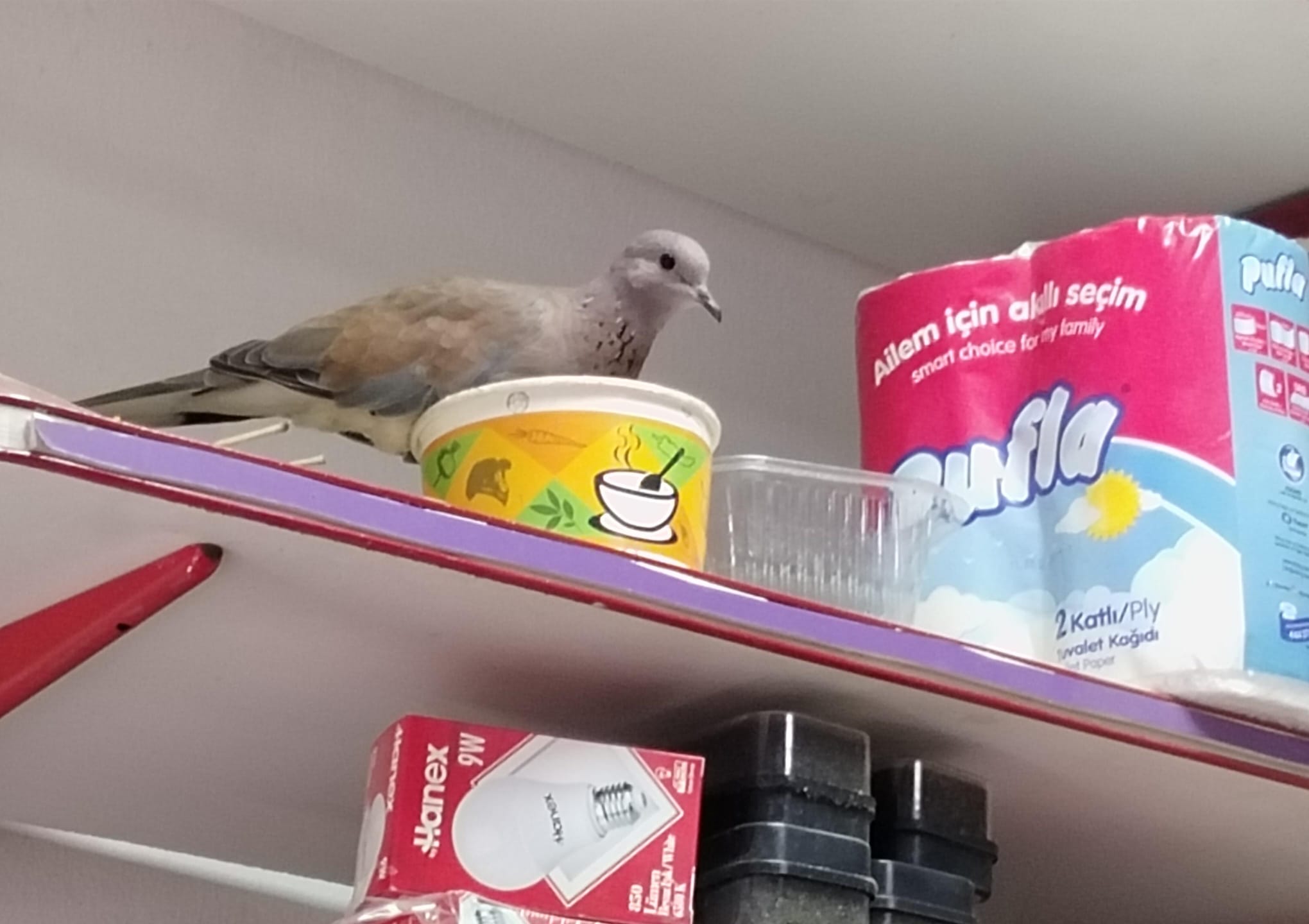 Whatsapp Görsel 2025 11 11 Saat 11.14.25 20A96983