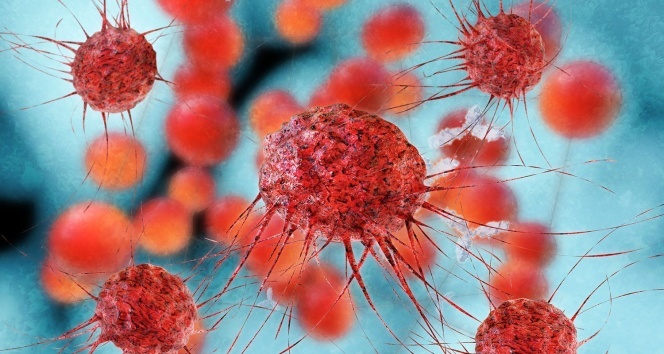 Her 8 kadından biri risk altında! Erken fark etmek hayat kurtarıyor