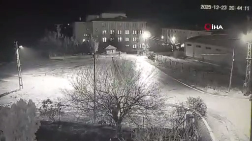 3B3A8643 F326 4Bb4 A0Dc De440025E156 1766522289