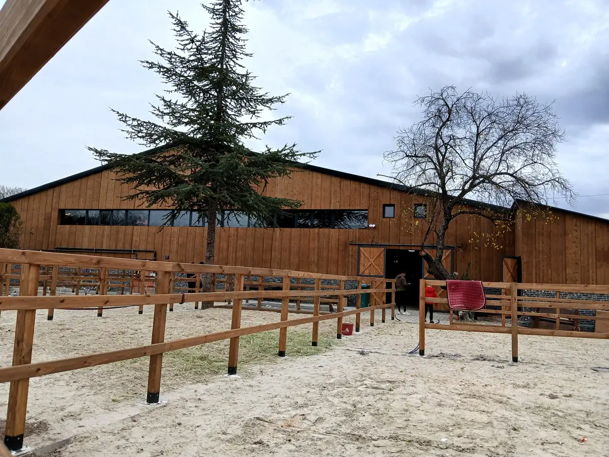 Aask Dolçe Vita Azra Öztürk Ankara Atlı Spor Kulübü Milli Binici (2)