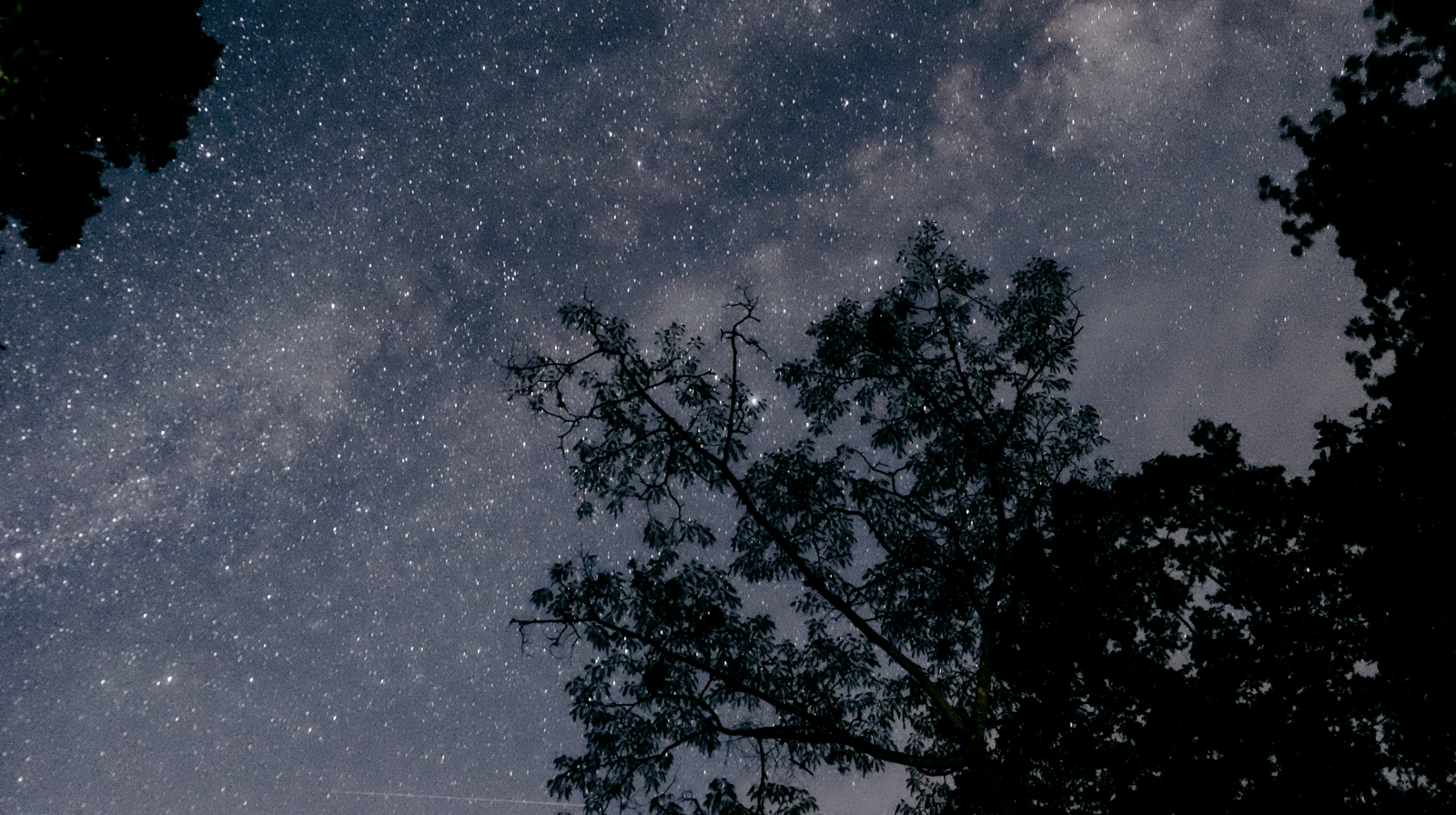 Adsız Tasarım (8)-1