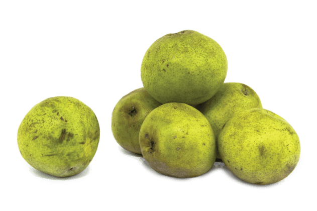 Ankara Armudu 258 8017 2