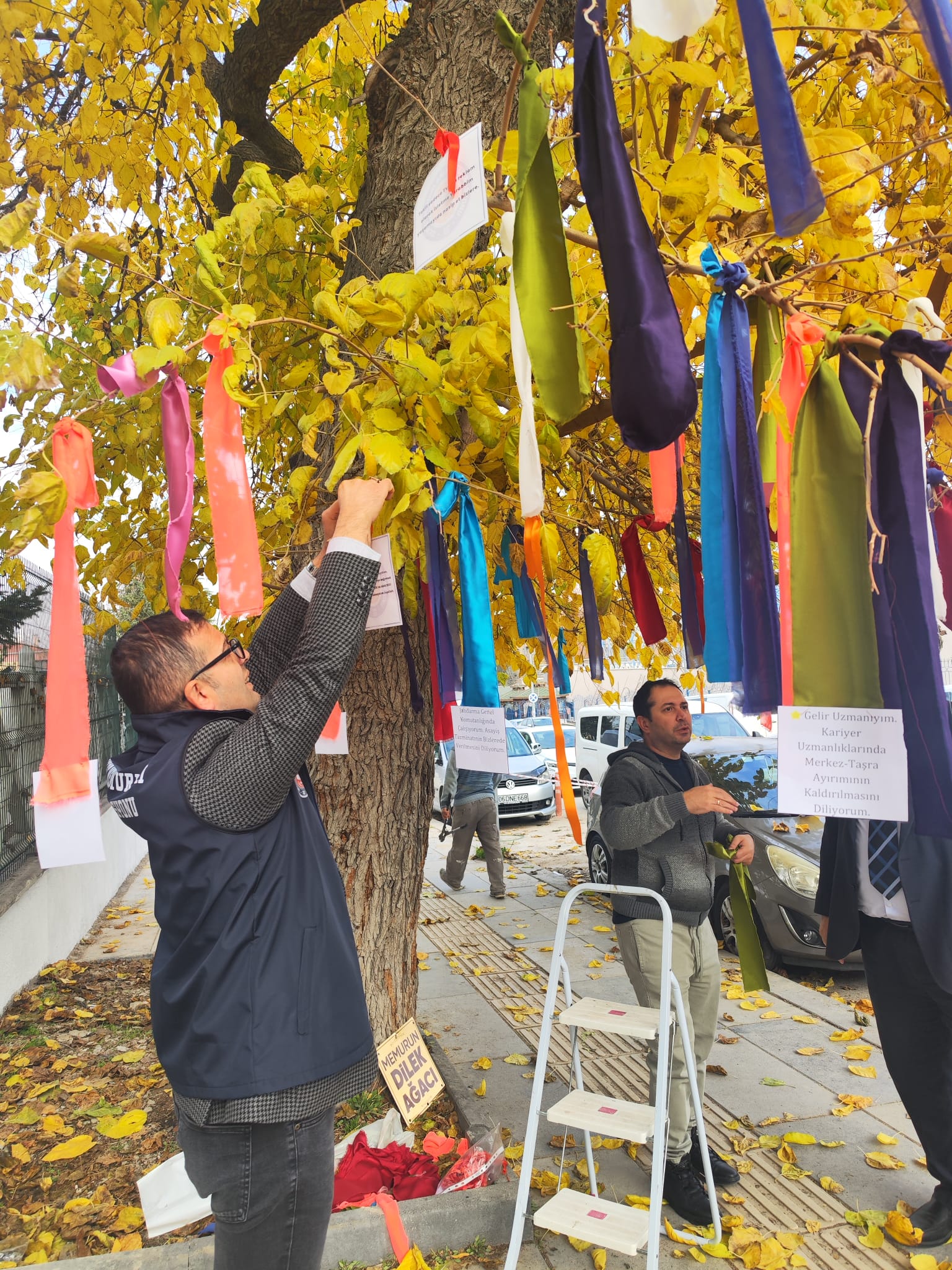 Devlet Memurları Sendikası (4)