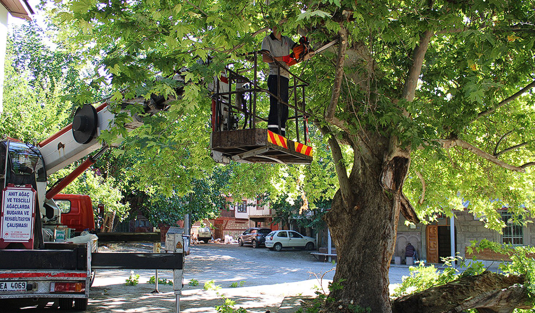 Ekran Görüntüsü 2025 12 14 172212