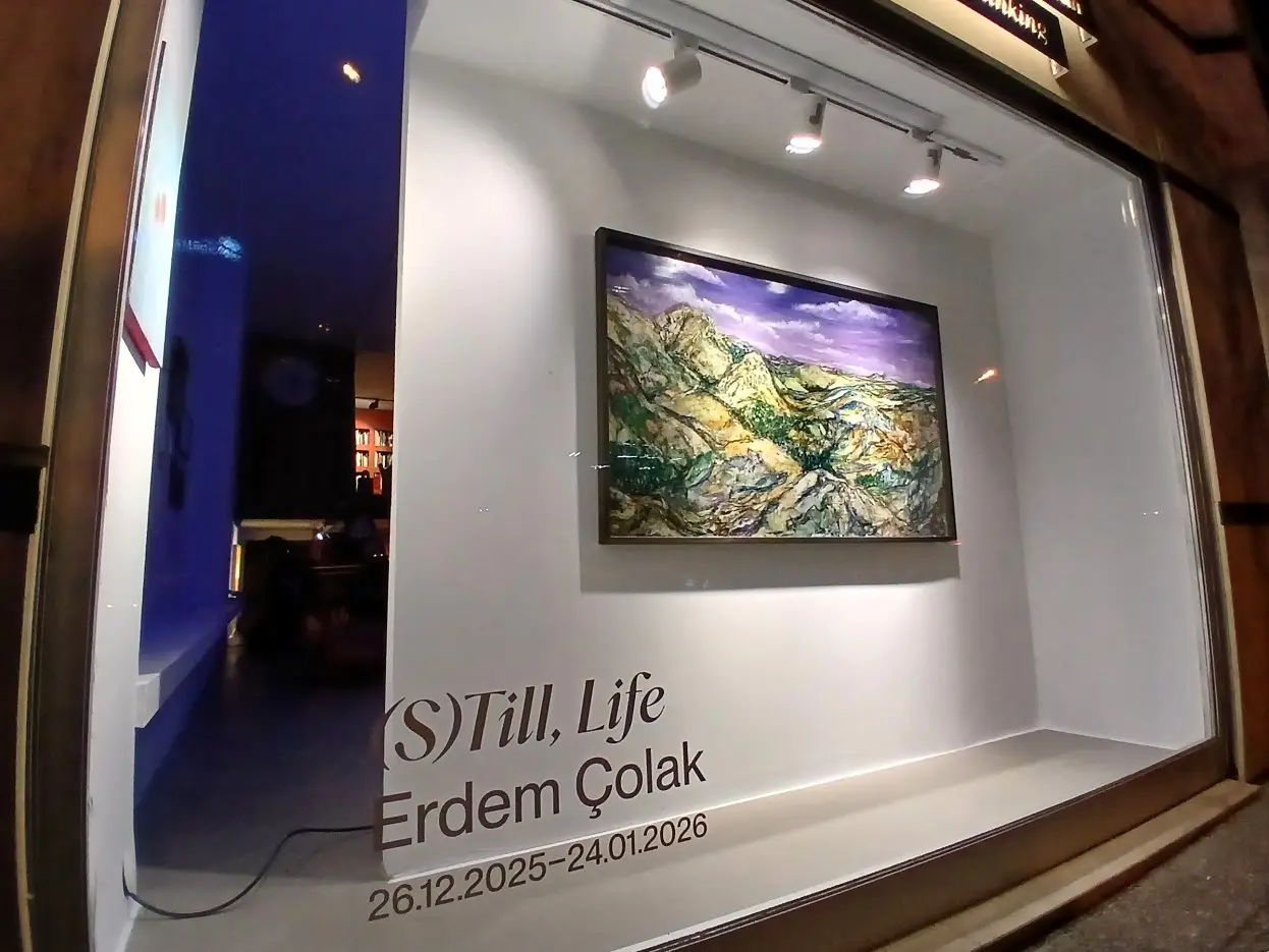 Erdem Çolak Still Life Sergi Cinnah Caddesi Ka (4)
