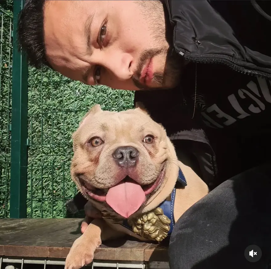 I S T A N B U L S I S L I’ D E O T O M O B I L I N Y A Y A L A R A 1068273 317007 131724