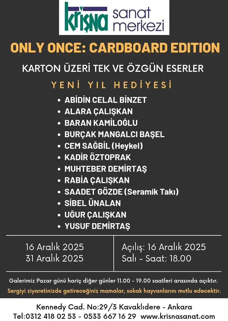Krişna Sanat Merkezi Yeni Yıl Hediyesi Karton Sergi Kennedy Cadddesi (1)
