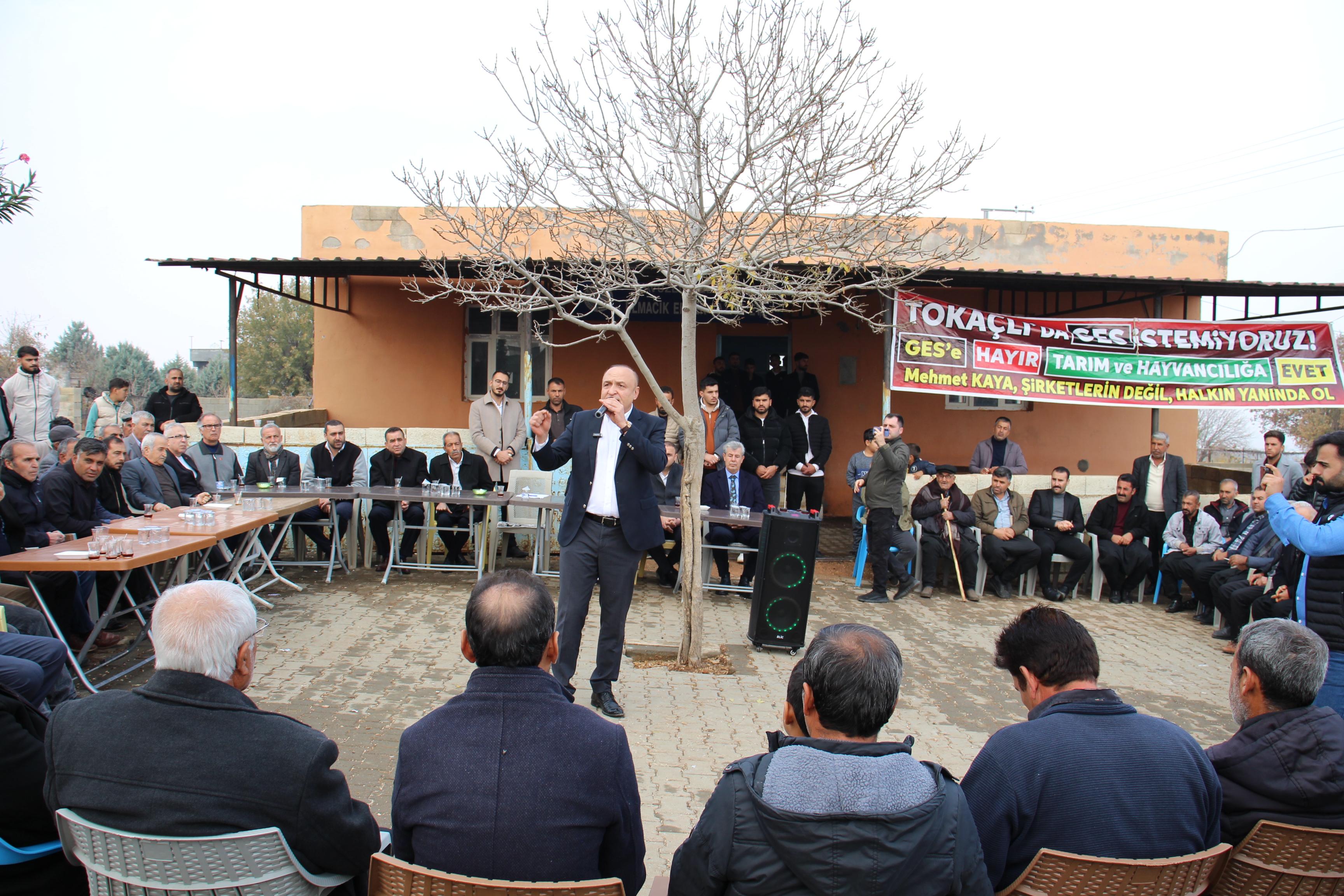 Melih Meriç Ges (2)