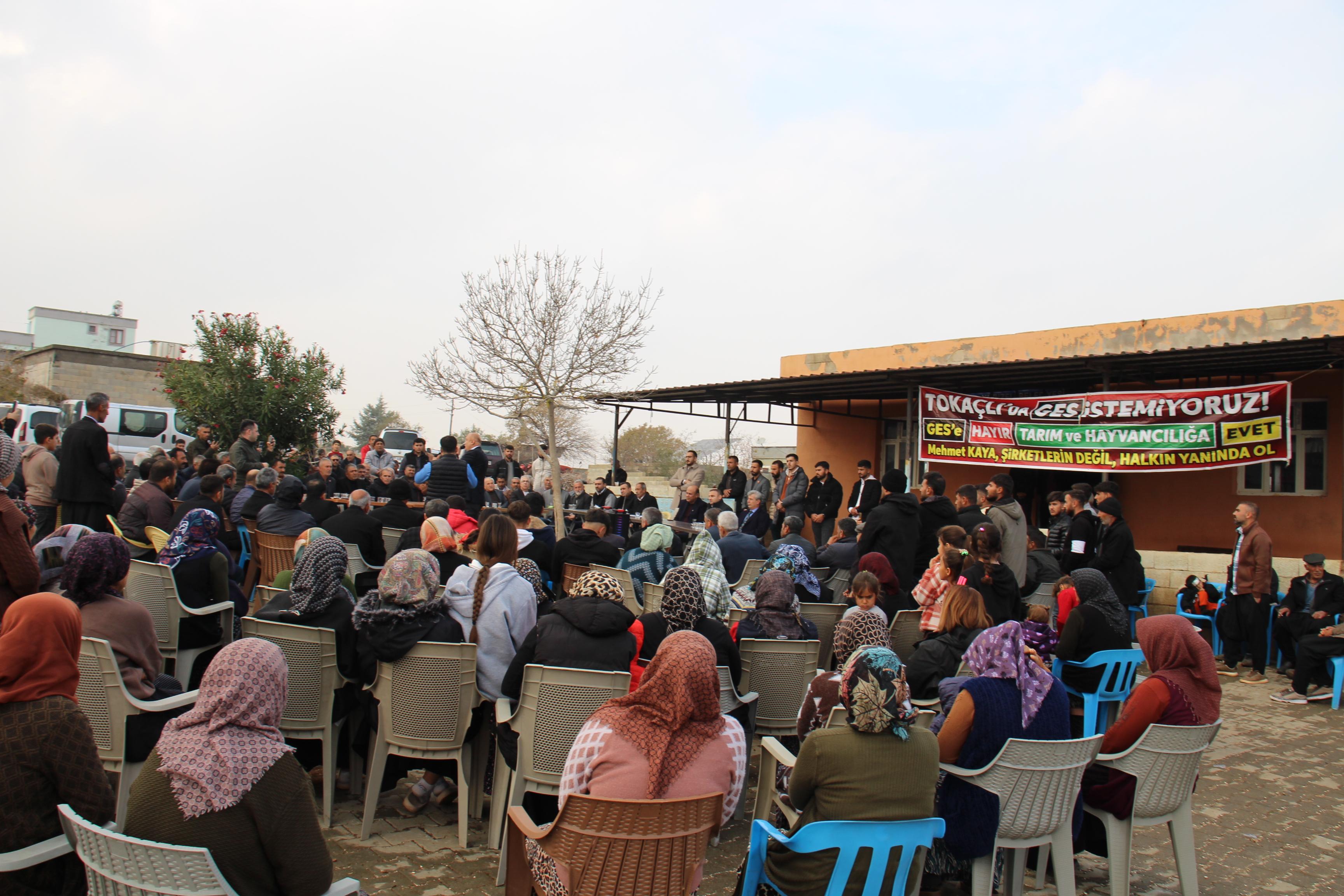 Melih Meriç Ges (3)