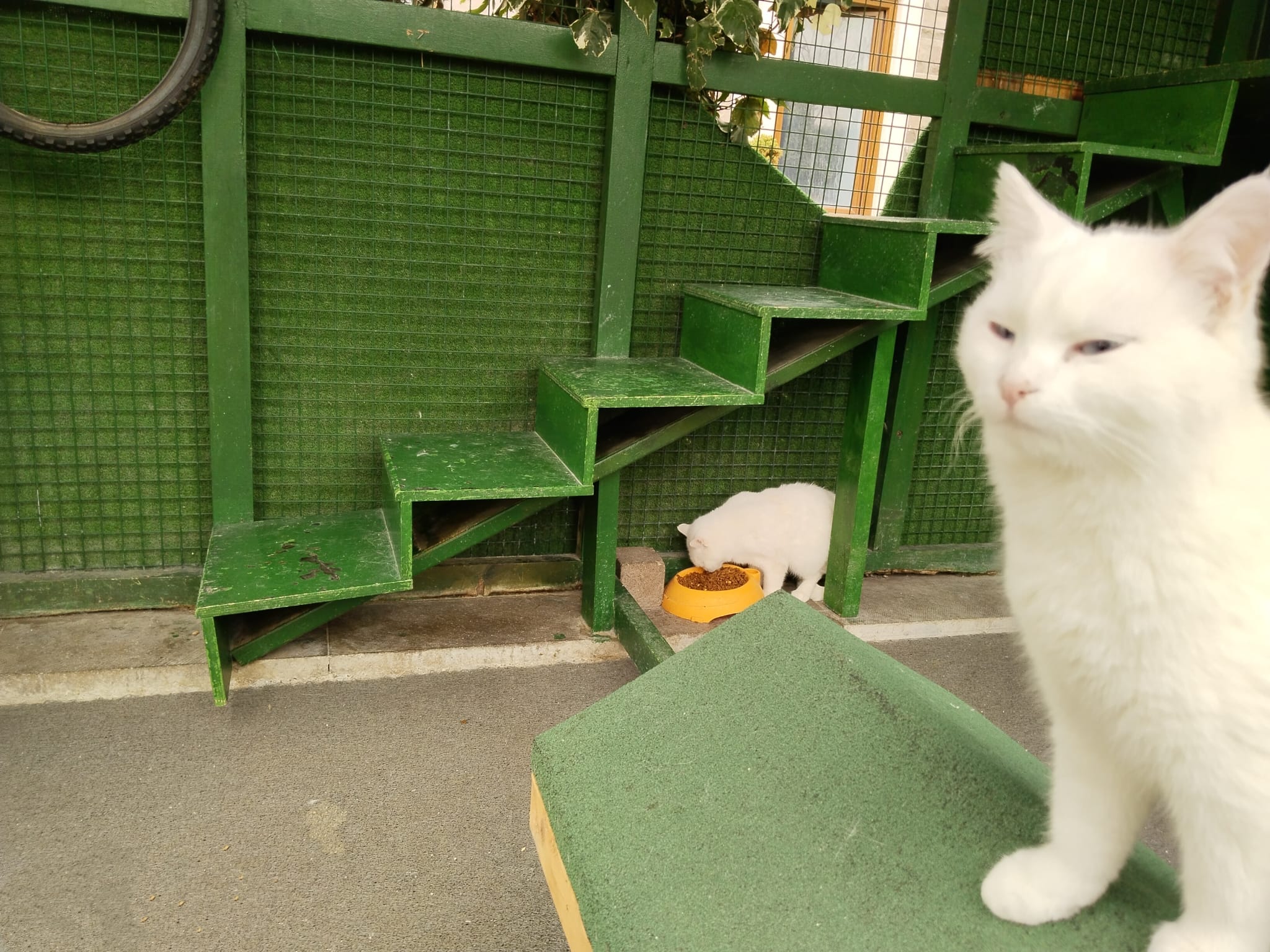 Whatsapp Görsel 2025 12 11 Saat 09.26.56 E51Aee59