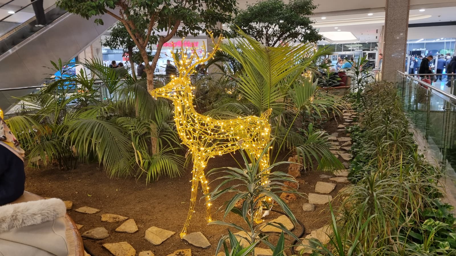 Whatsapp Image 2025 12 07 At 15.38.11