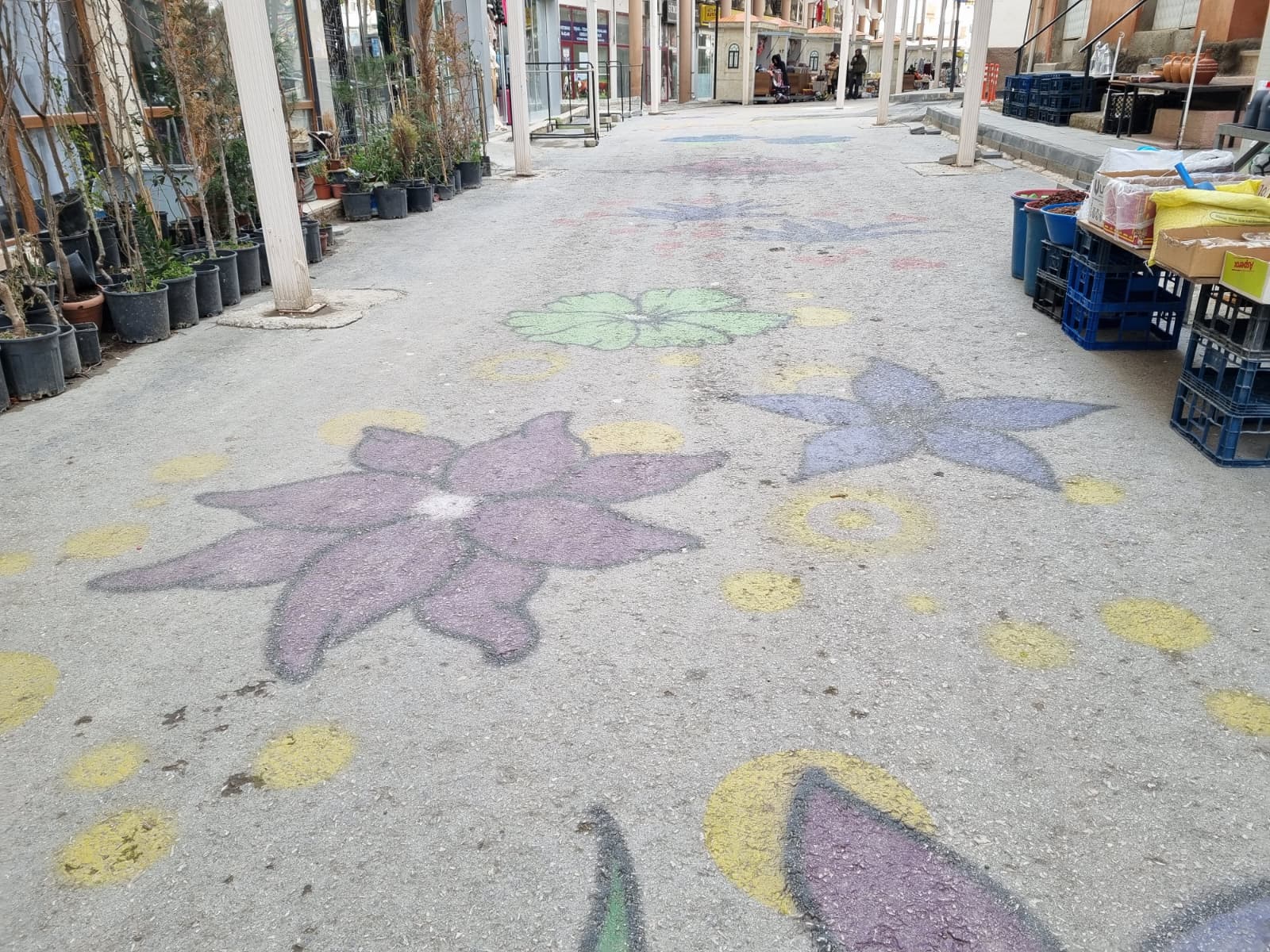 Whatsapp Image 2025 12 31 At 13.01.11