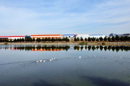 Anadolu Osb Göleti2