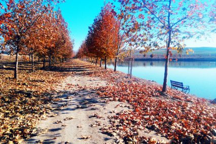 Anadolu Osb Göleti3