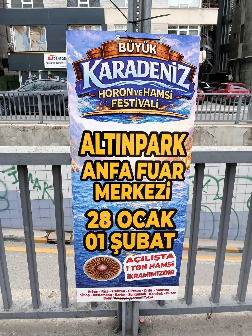 Büyük Karadeniz Horon Ve Hamsi Festivali Altınpark Anfa Ankara Başkent (2)