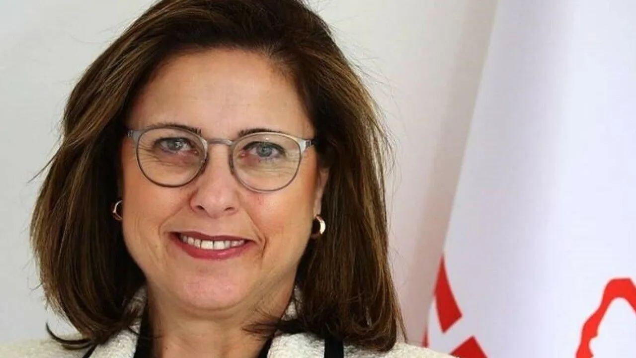 Demokrat Parti Ilay Aksoy Kimdir 1