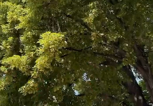 Ekran Görüntüsü 2026 01 12 170029