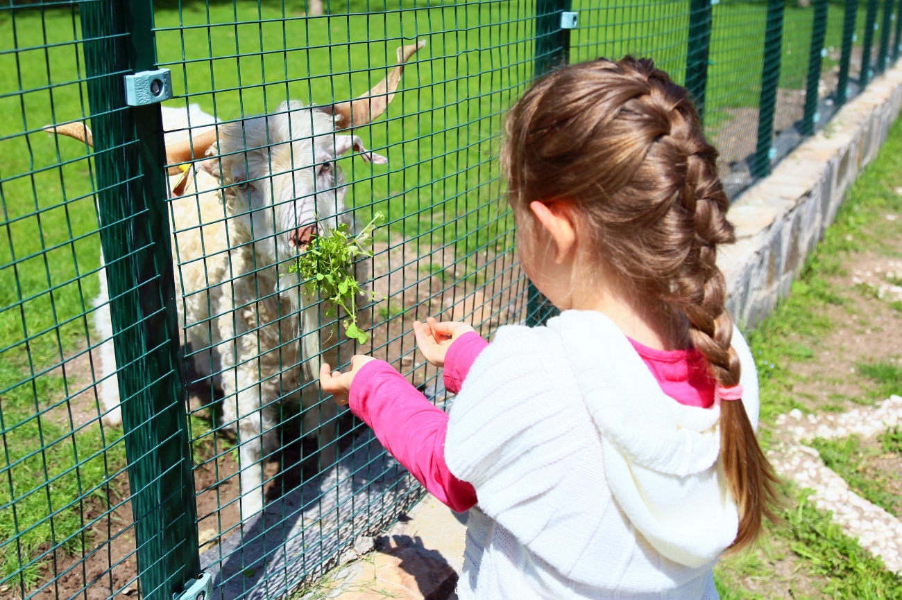 Evcil Hayvan Parkı4