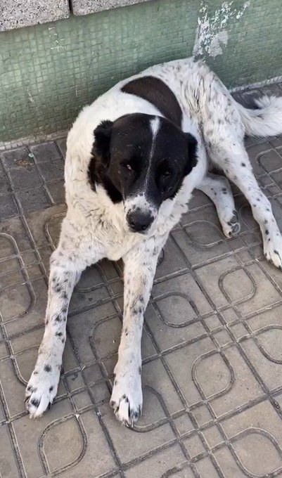 G910 Tgl X E A A Gz3 I