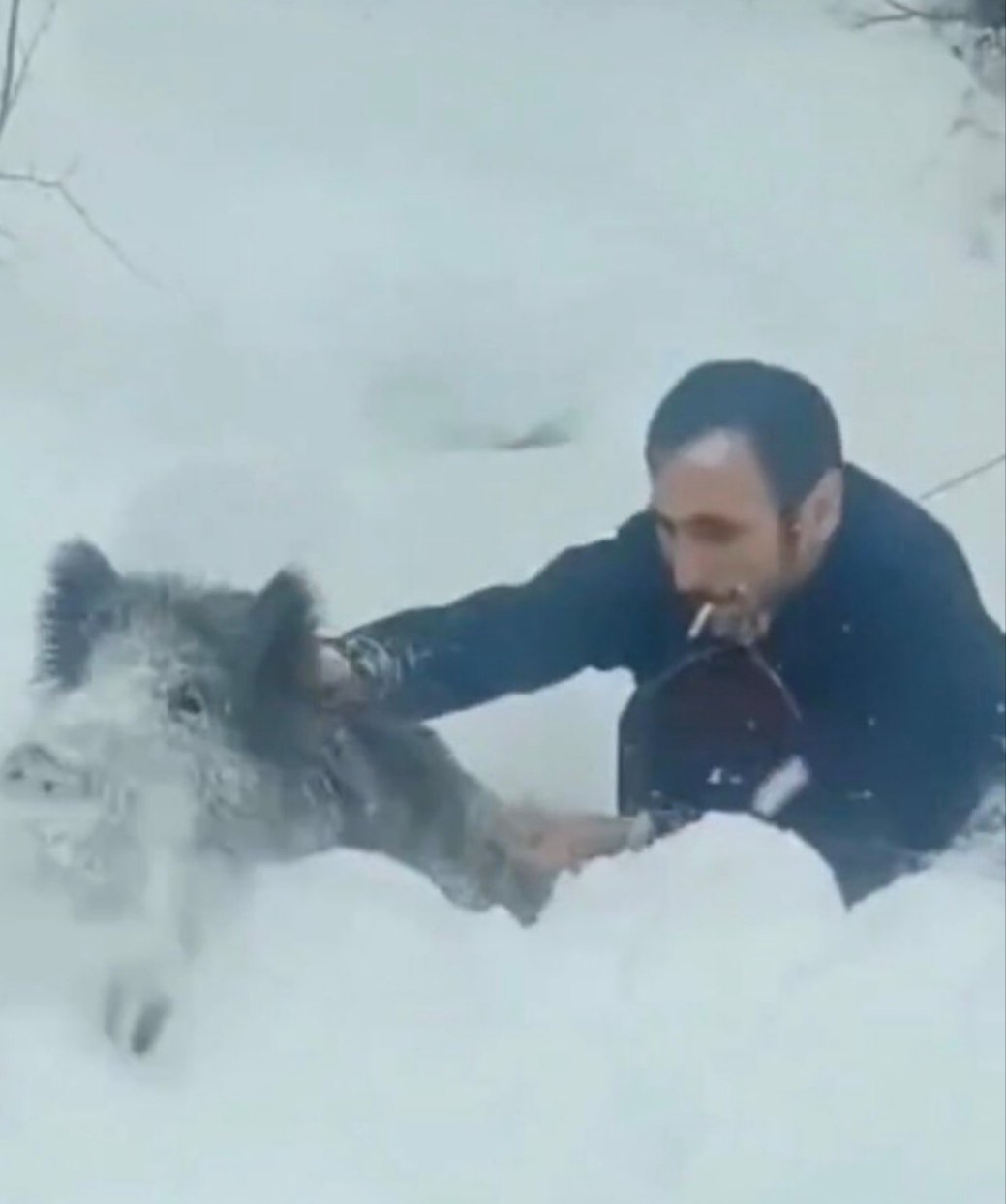 G97 Db3A X Q A Ad4Br