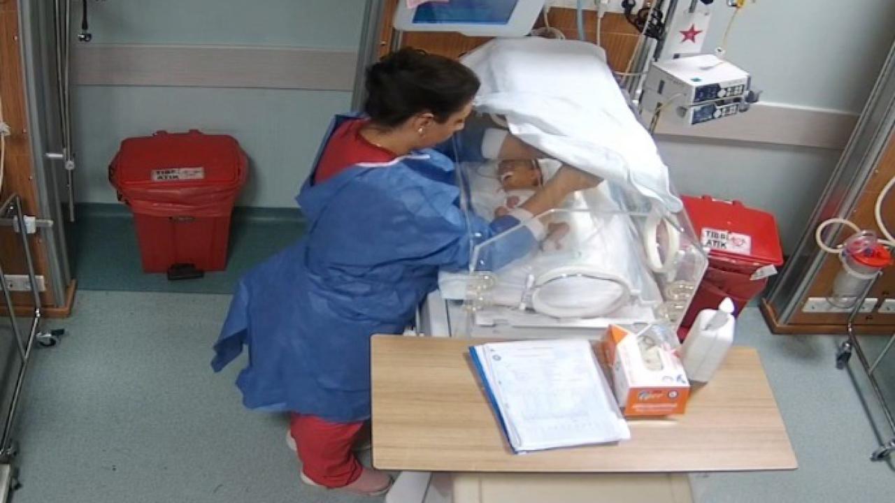 Hazel Dırık Bağrıyanık