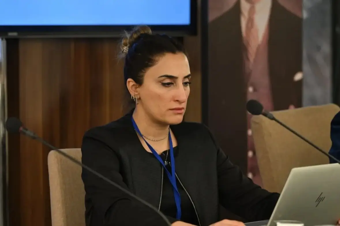 Ilknur Yılmaz Gümüş Tbb Tübitak (3)