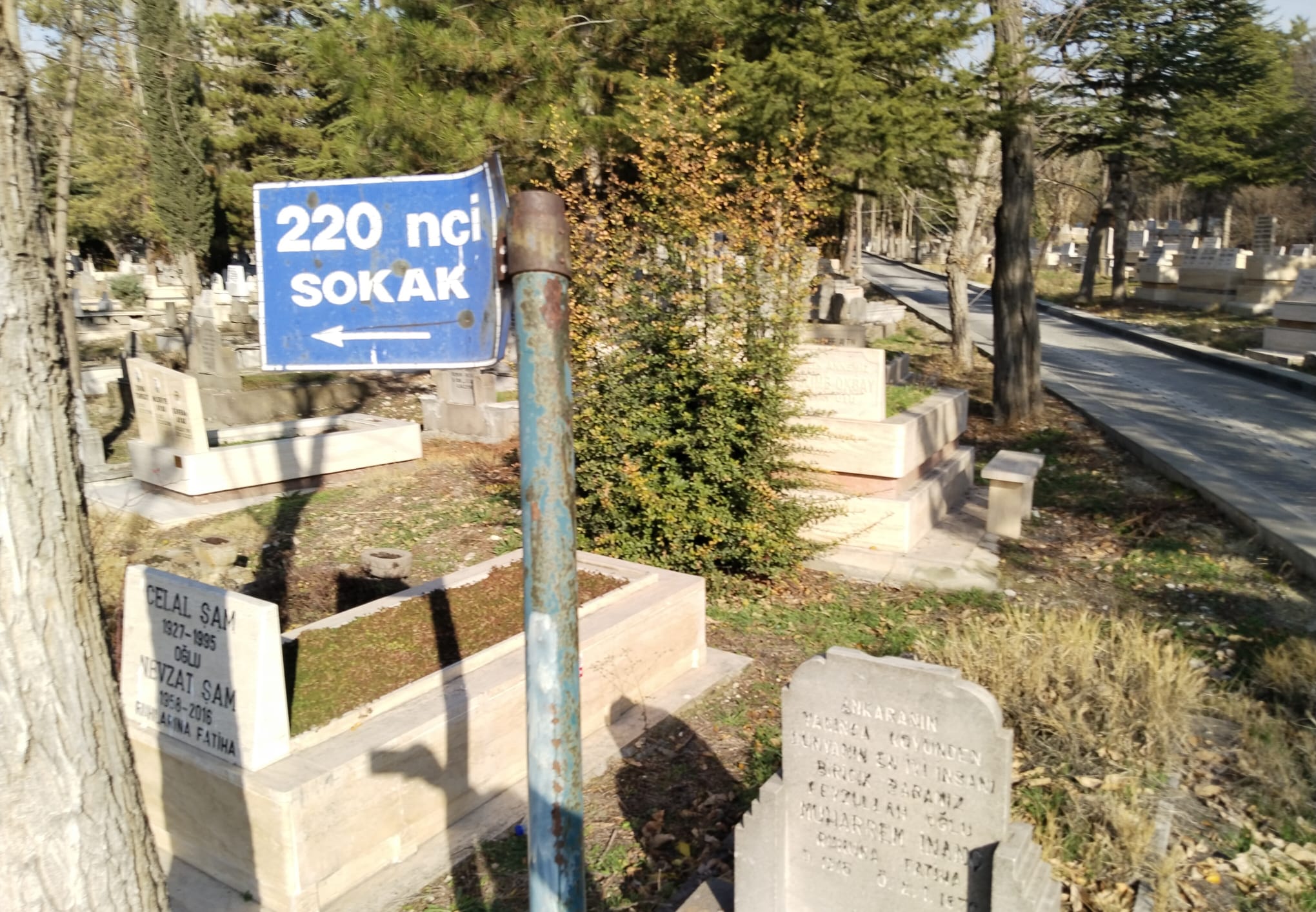 Whatsapp Image 2026 01 02 At 11.21.37788