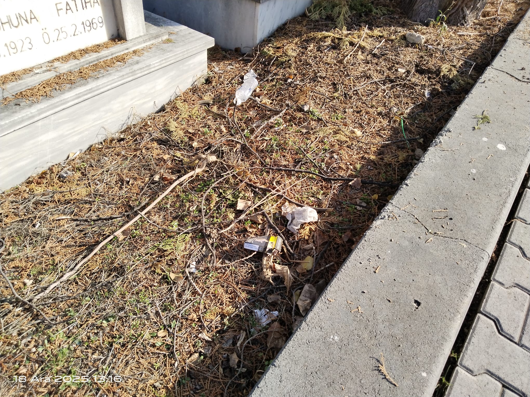 Whatsapp Image 2026 01 02 At 11.21.37Op