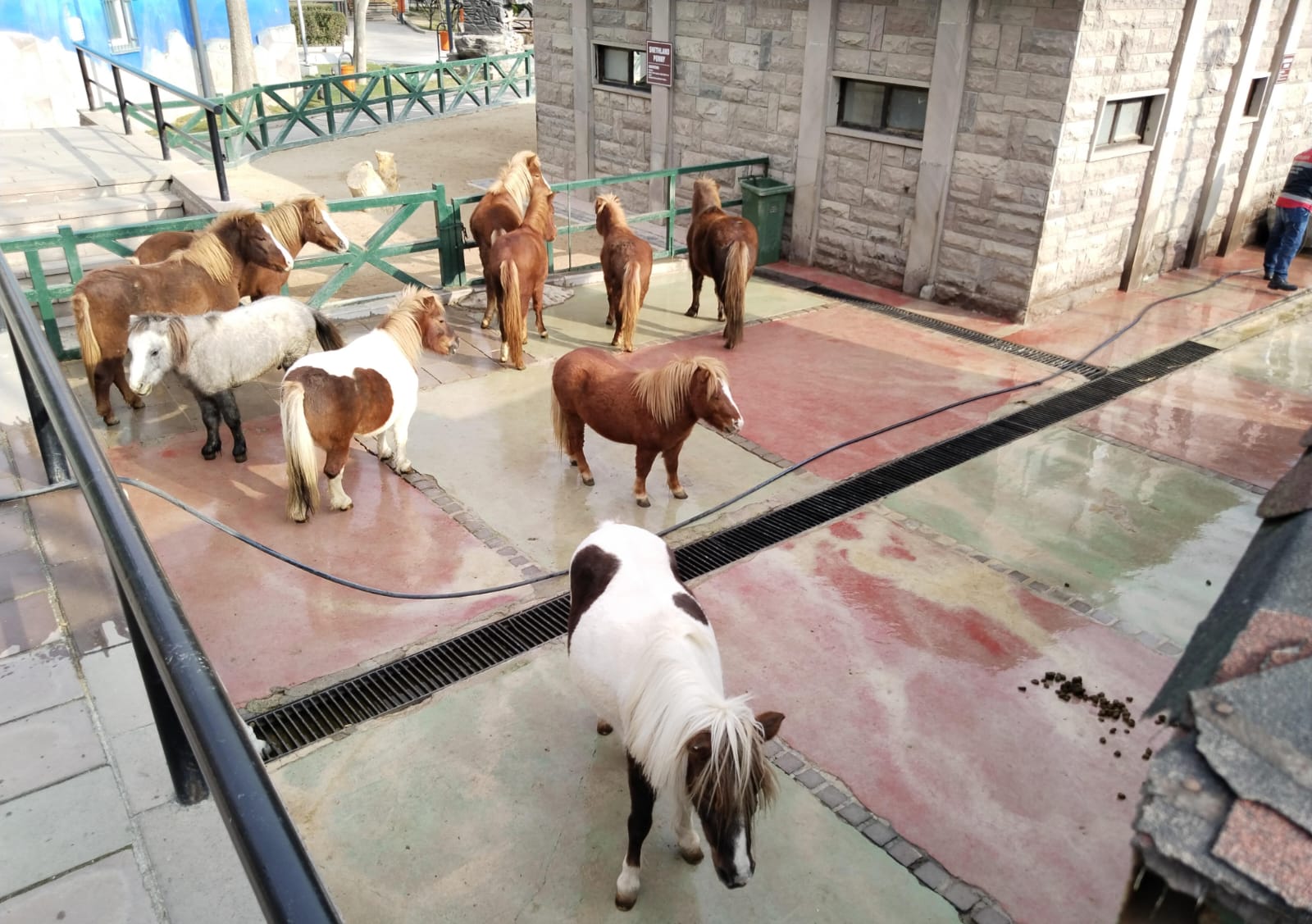 Whatsapp Image 2026 01 07 At 09.11.46 (1)