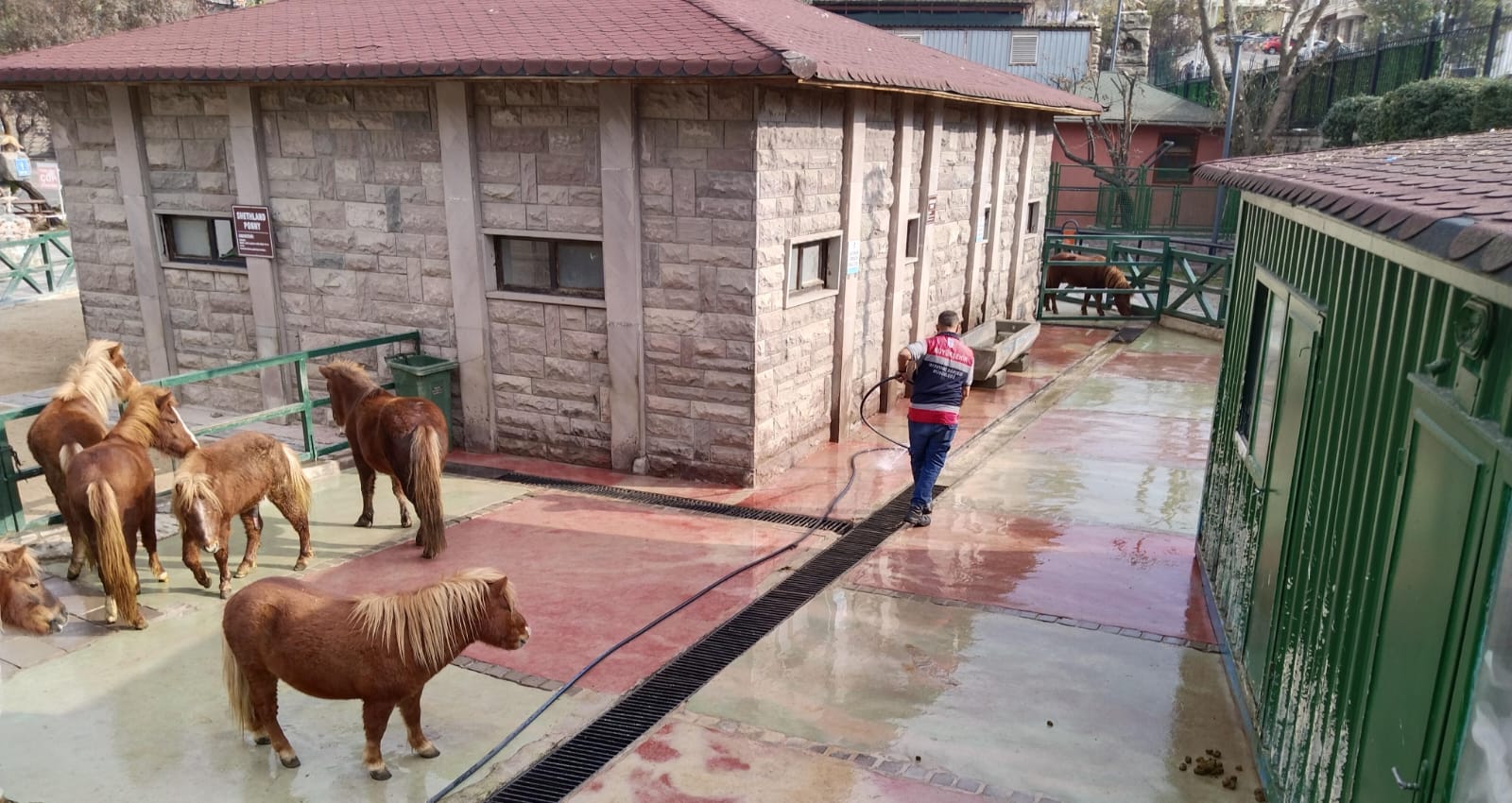 Whatsapp Image 2026 01 07 At 09.11.46