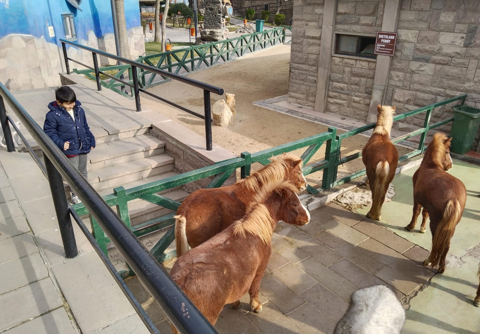 Whatsapp Image 2026 01 07 At 09.11.47 (1)