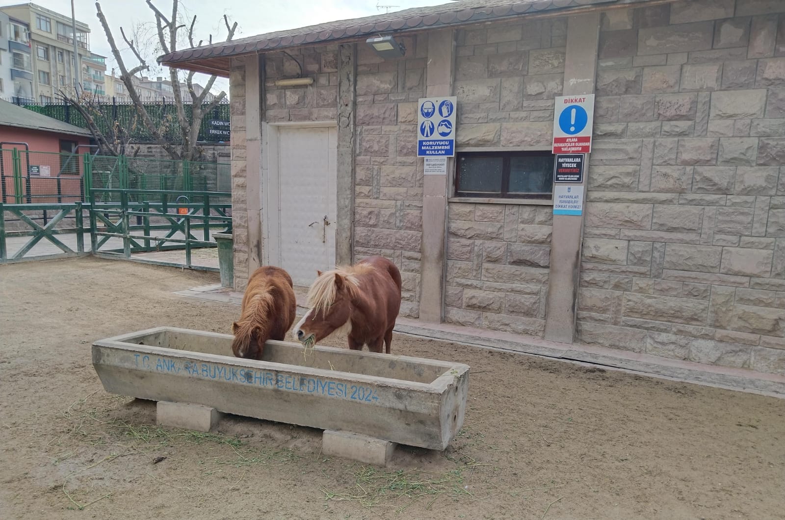 Whatsapp Image 2026 01 07 At 09.11.47 (2)