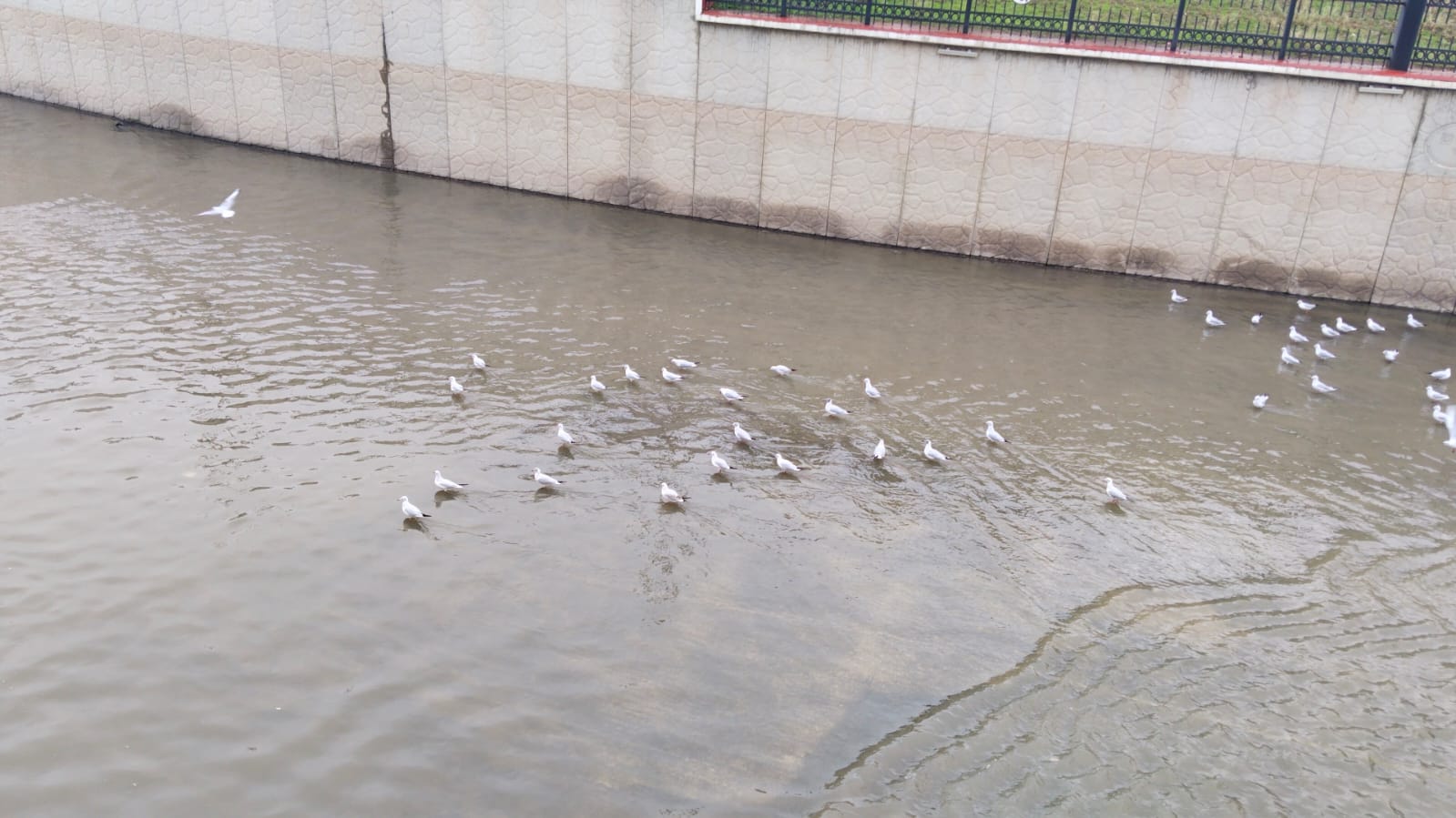 Whatsapp Image 2026 01 14 At 11.19.31