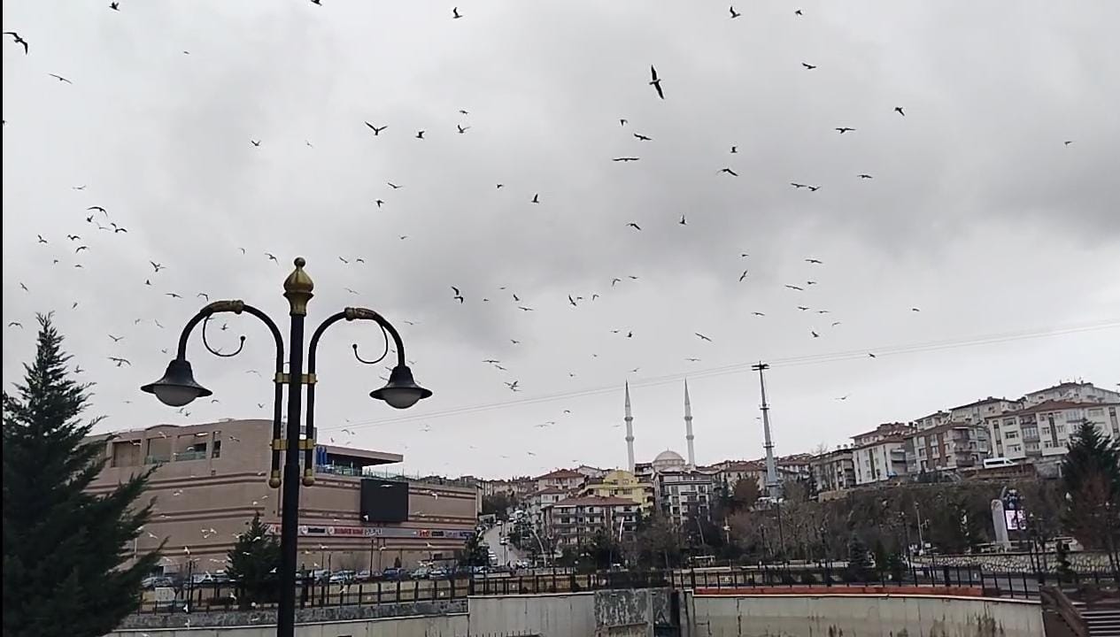 Whatsapp Image 2026 01 14 At 11.20.580000