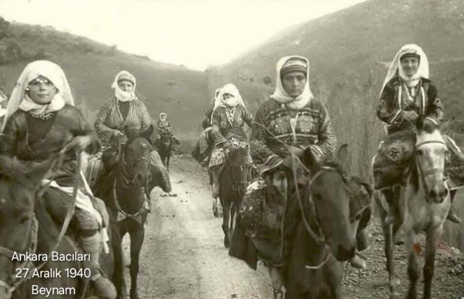 Whatsapp Image 2026 01 22 At 12.21.49Er