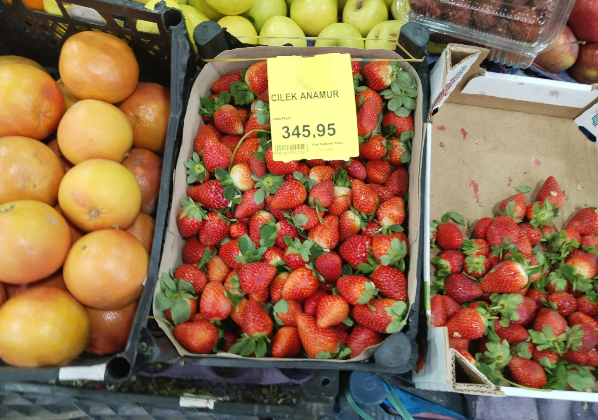 Whatsapp Image 2026 01 29 At 10.50.44 (1)