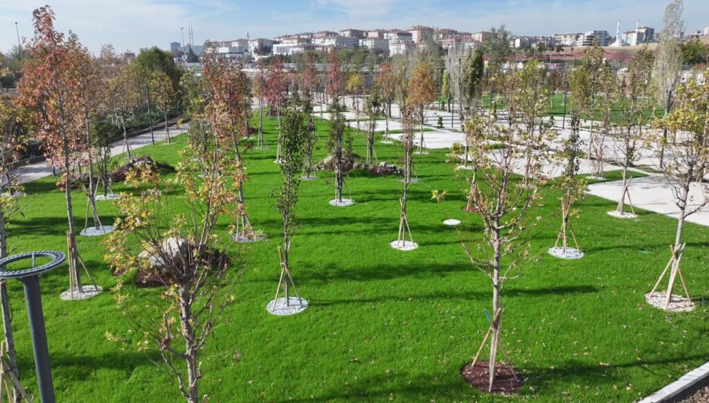 Atatürk Çocukları Doğal Yaşam Parkı & Hayvanat Bahçesi6