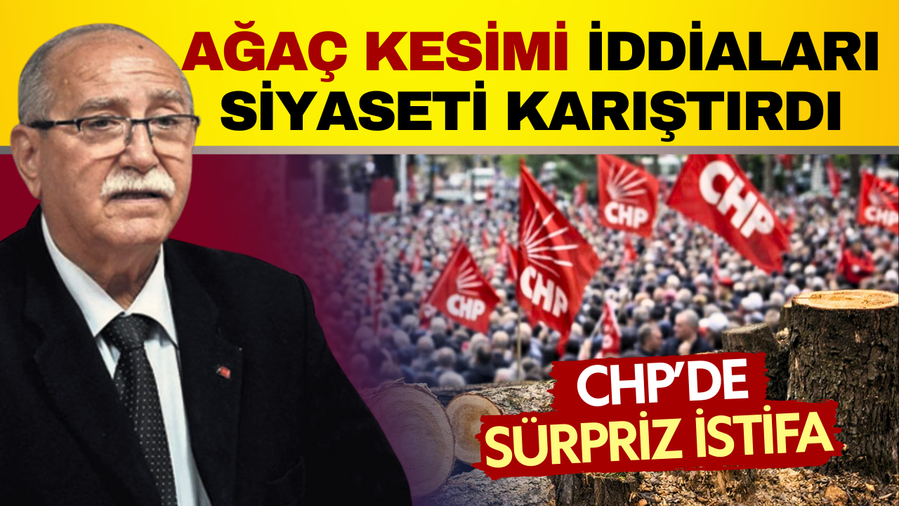 CHP mitingi için ağaç kesildiği iddiaları ortalığı karıştırdı: İlçe Başkanı istifa etti!
