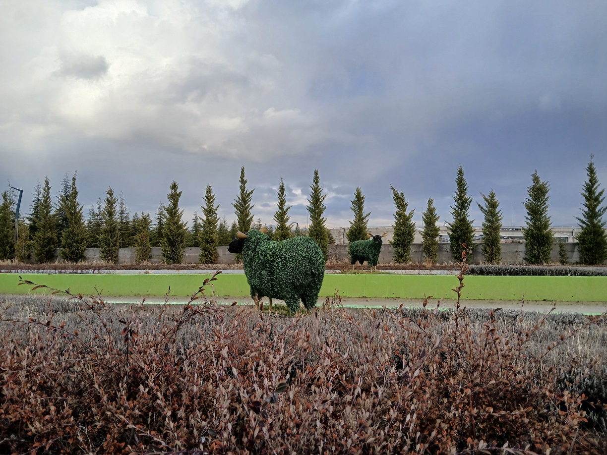 Türkiye Milli Botanik Bahçesi Ankara Başkent Kış (1)