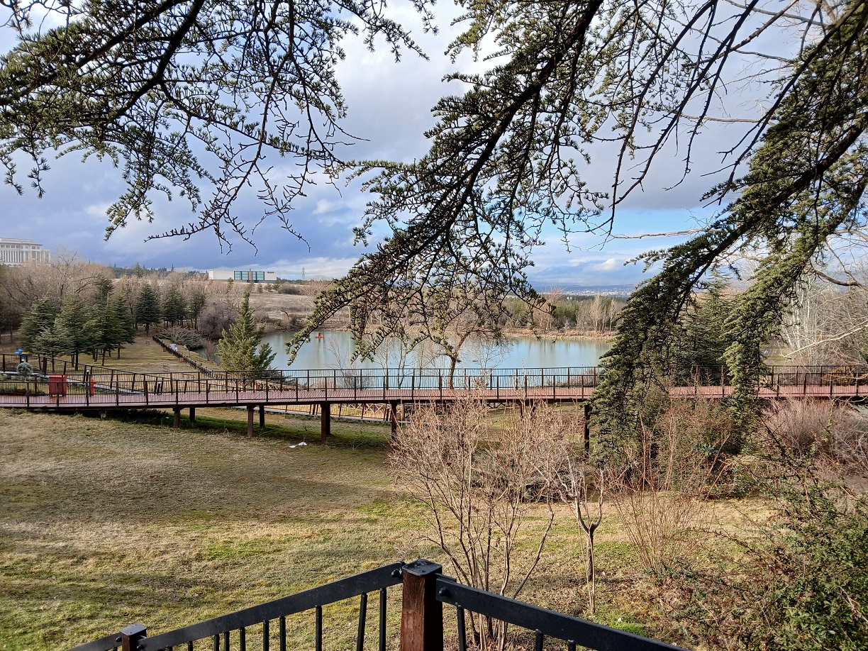 Türkiye Milli Botanik Bahçesi Ankara Başkent Kış (5)