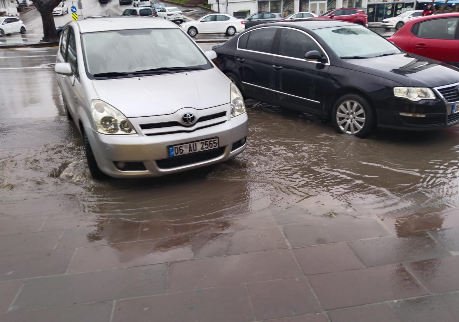 Whatsapp Image 2026 02 03 At 11.17.38