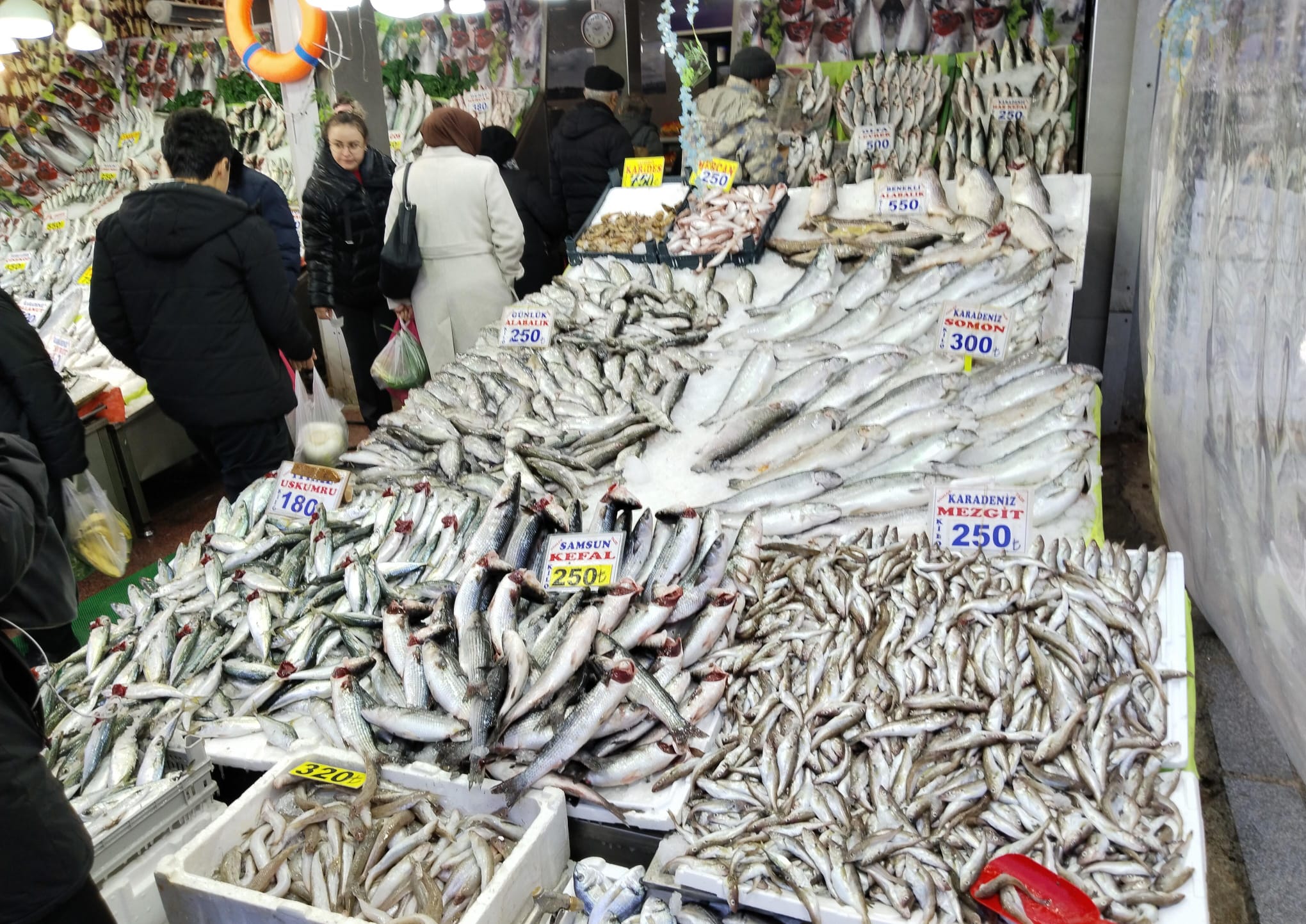 Whatsapp Image 2026 02 17 At 11.00.00 (1)