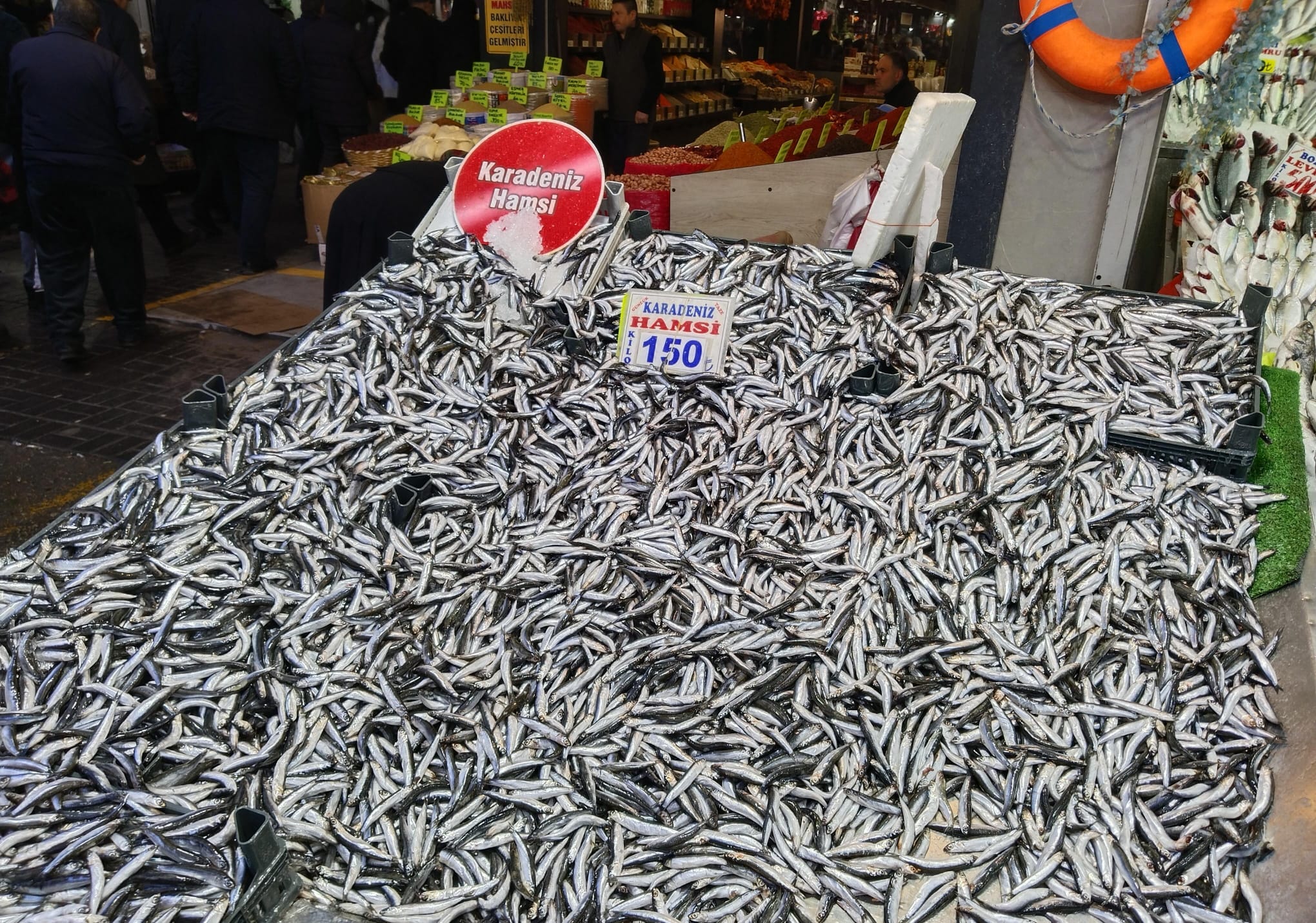 Whatsapp Image 2026 02 17 At 11.00.00 (2)