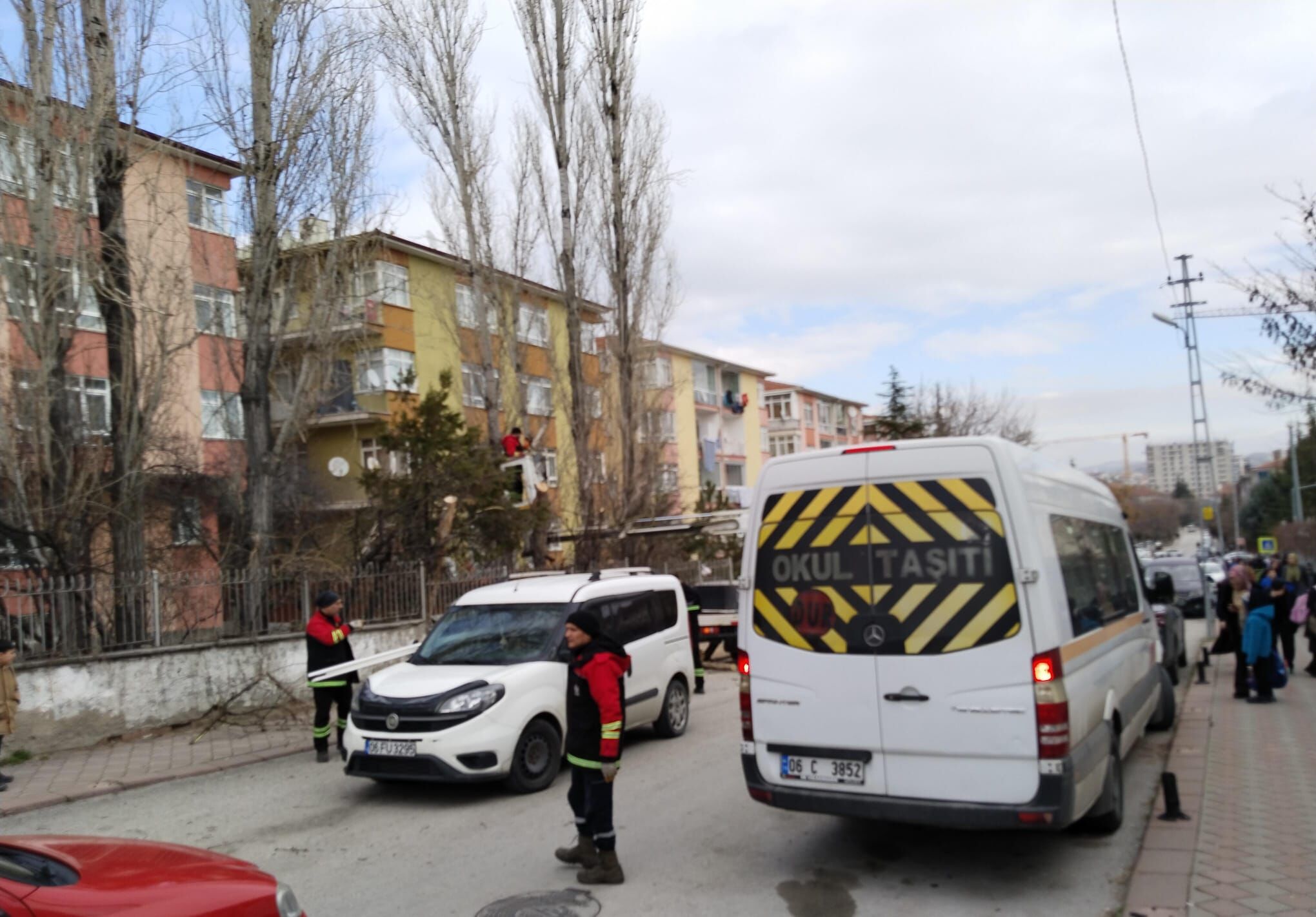 Whatsapp Image 2026 02 25 At 10.01.32