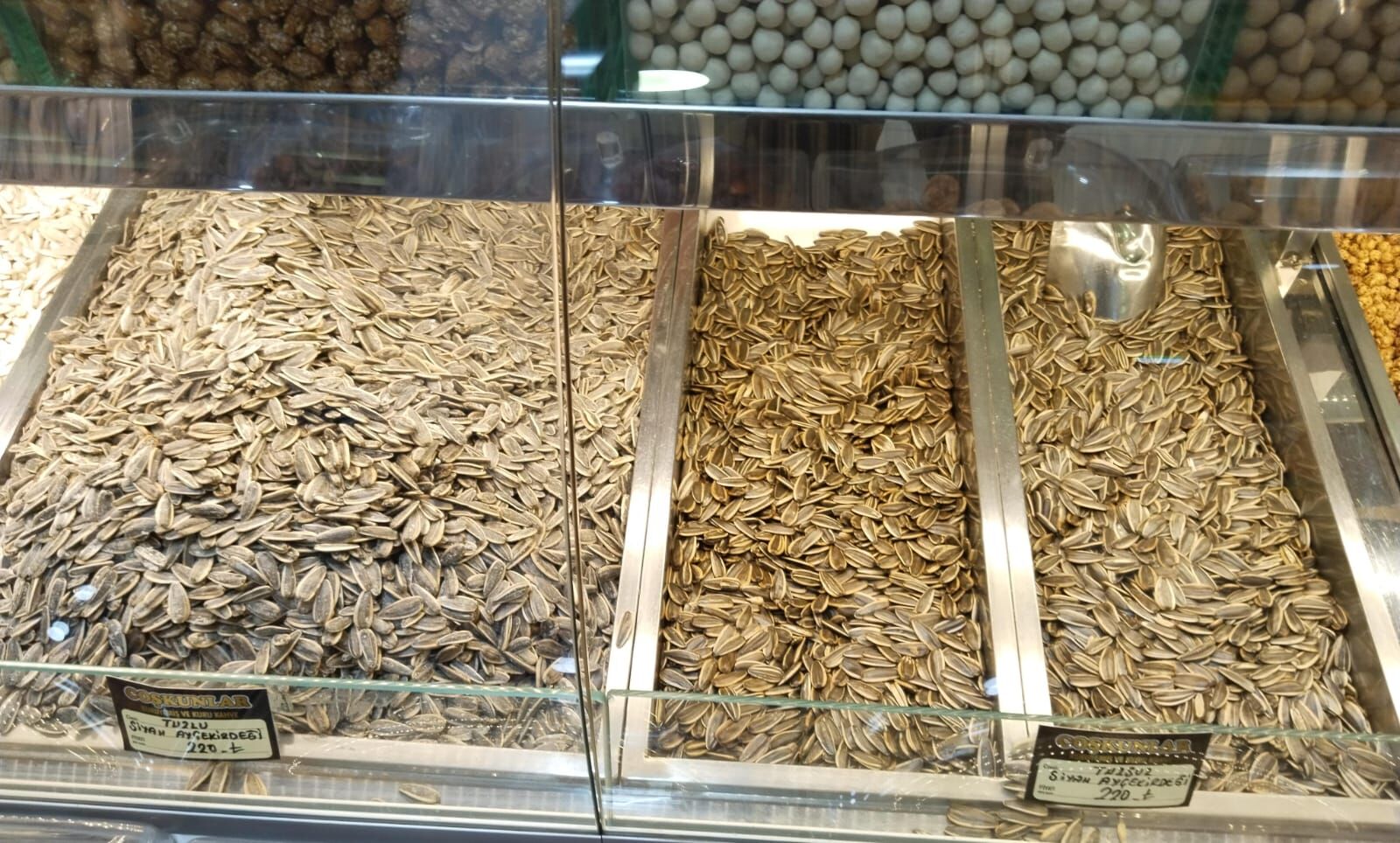 Whatsapp Image 2026 02 27 At 11.19.20 (3)