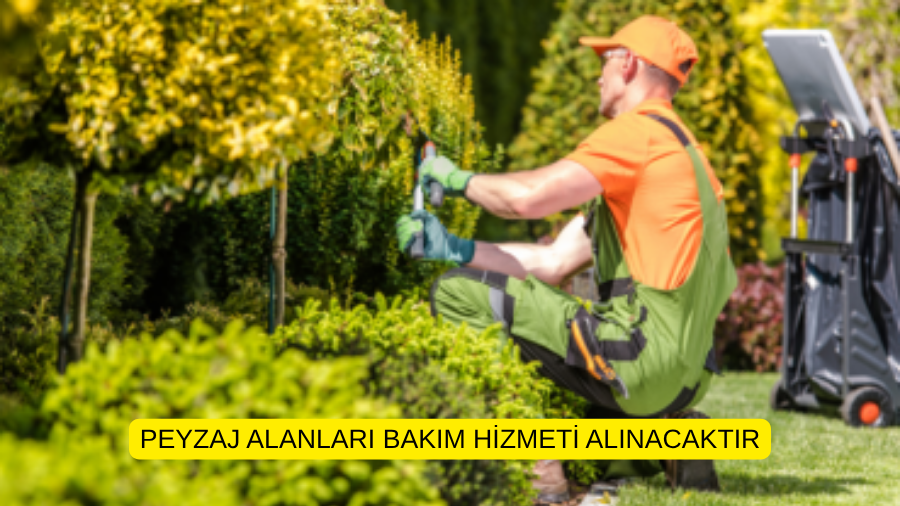 PEYZAJ ALANLARI BAKIM HİZMETİ ALINACAKTIR