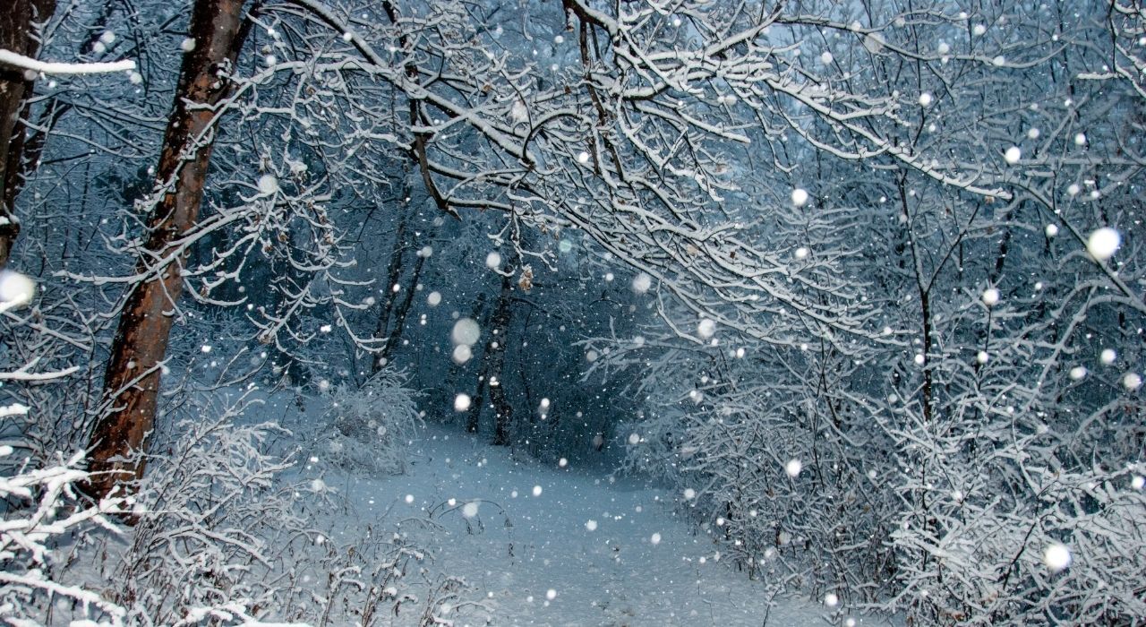 Ankara Da En Cok Kar Yagan Ilceler (3)